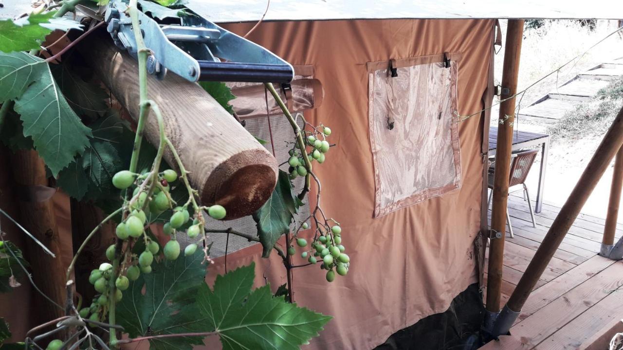 Campo Agave Luxury Tents Sayalonga Екстер'єр фото