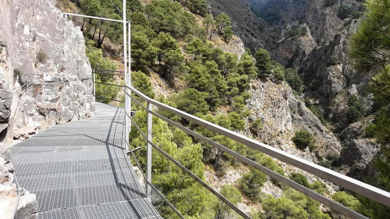 Campo Agave Luxury Tents Sayalonga Екстер'єр фото