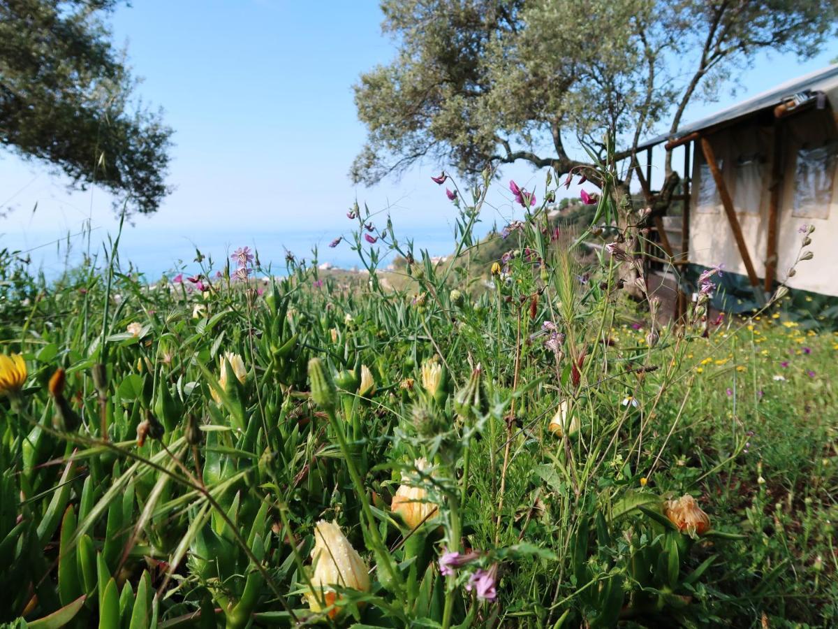 Campo Agave Luxury Tents Sayalonga Екстер'єр фото