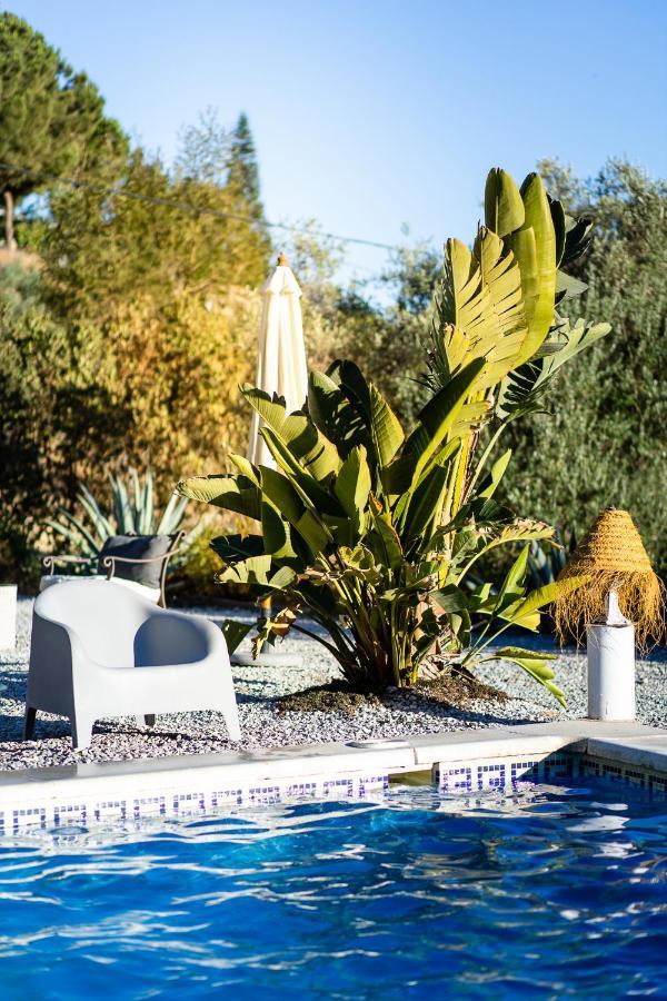 Campo Agave Luxury Tents Sayalonga Екстер'єр фото