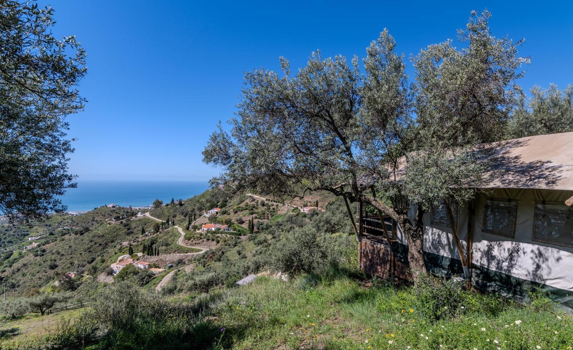 Campo Agave Luxury Tents Sayalonga Екстер'єр фото